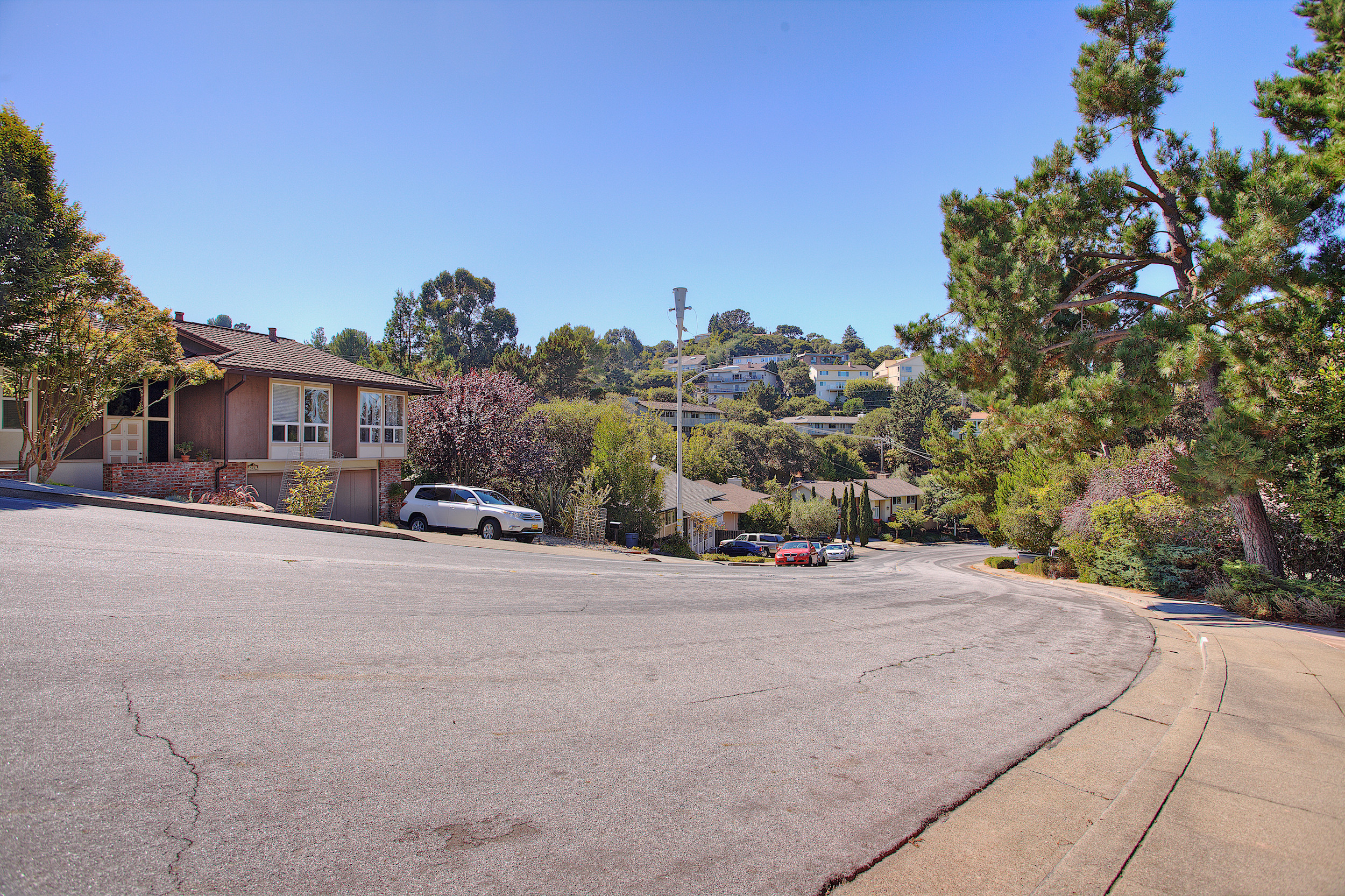 Downhill street view of Antique Forest Homes area in Belmont